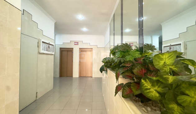 Odsprzedaż - Mieszkanie w bloku - Torrevieja - Centro