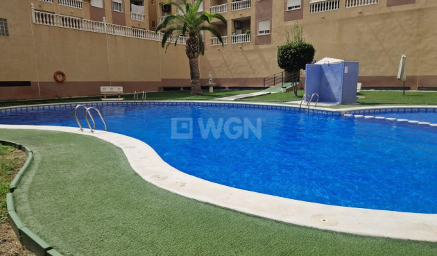 Odsprzedaż - Mieszkanie w bloku - Torrevieja - Centro