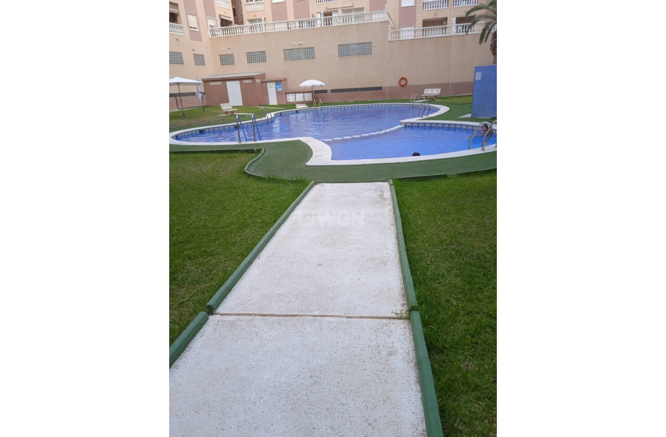 Odsprzedaż - Mieszkanie w bloku - Torrevieja - Centro
