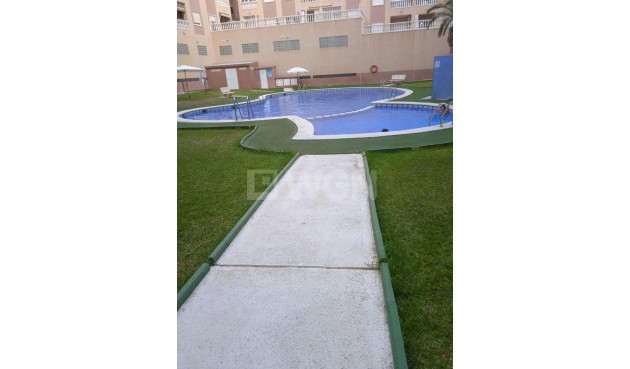Odsprzedaż - Mieszkanie w bloku - Torrevieja - Centro