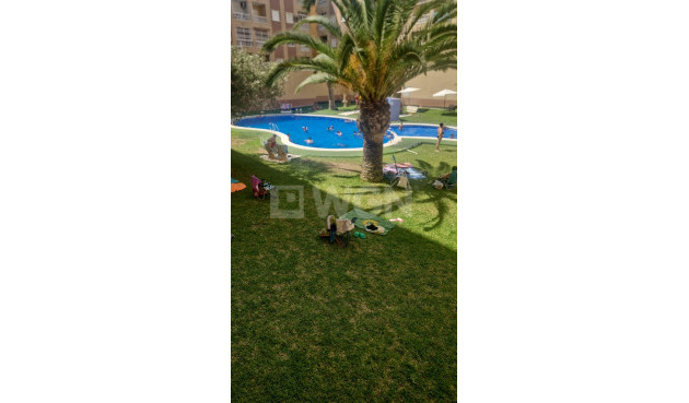 Odsprzedaż - Mieszkanie w bloku - Torrevieja - Centro