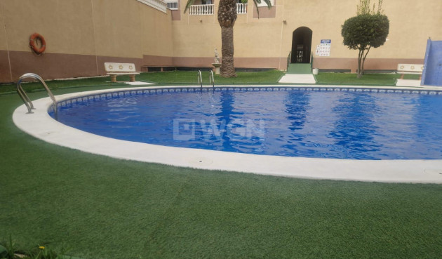 Odsprzedaż - Mieszkanie w bloku - Torrevieja - Centro