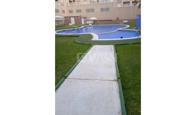 Odsprzedaż - Mieszkanie w bloku - Torrevieja - Centro