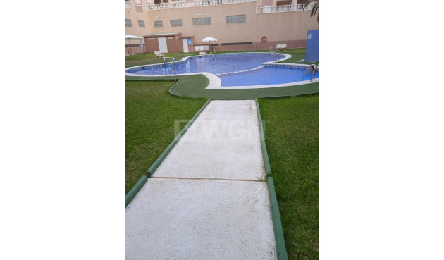 Odsprzedaż - Mieszkanie w bloku - Torrevieja - Centro