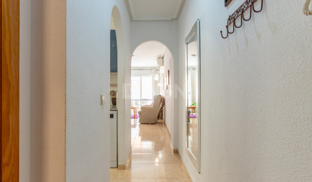 Odsprzedaż - Mieszkanie w bloku - Torrevieja - Costa Blanca