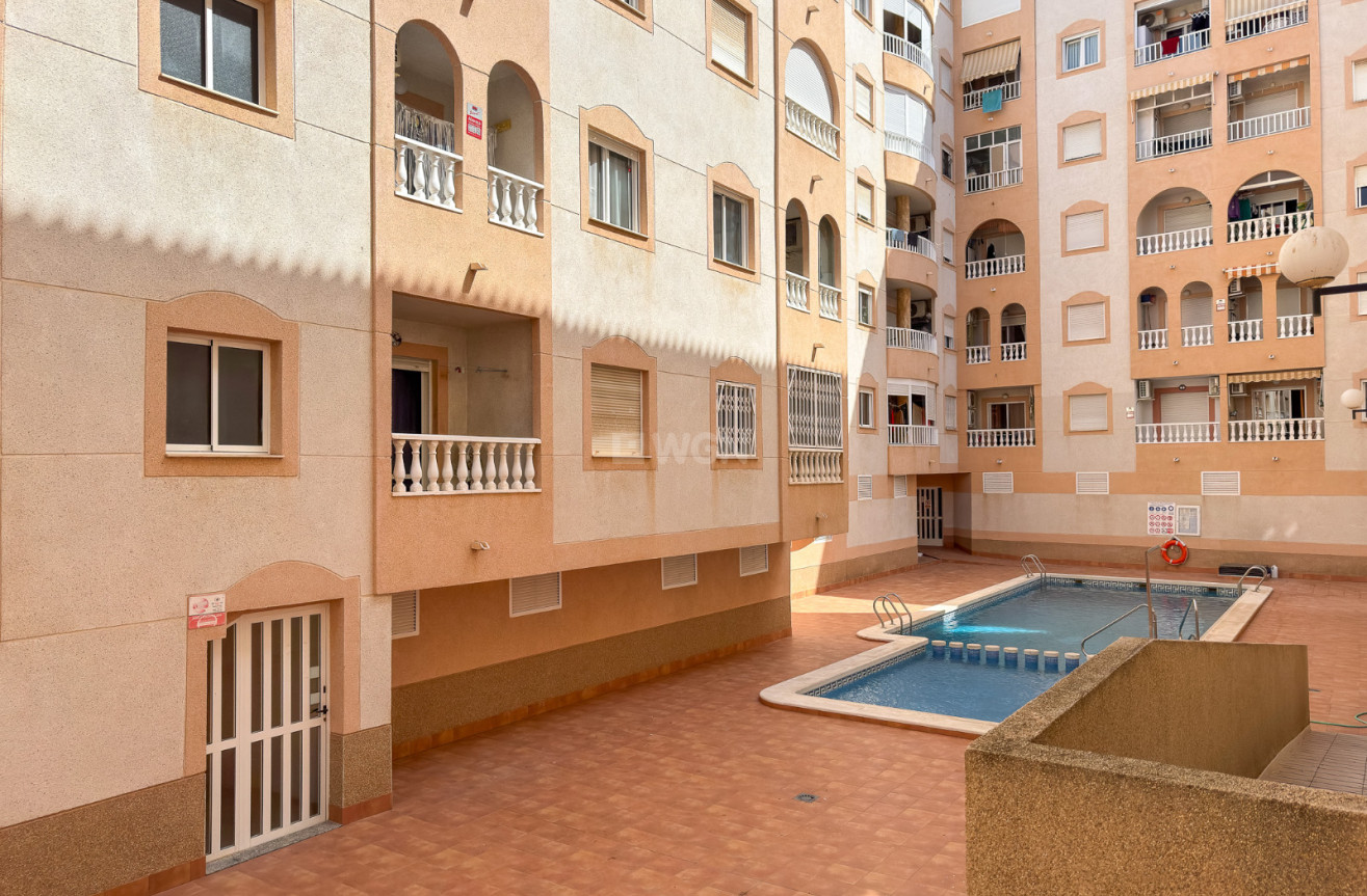 Odsprzedaż - Mieszkanie w bloku - Torrevieja - Costa Blanca