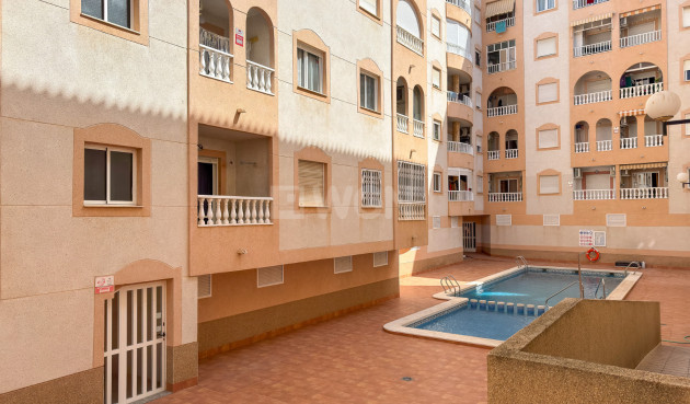 Odsprzedaż - Mieszkanie w bloku - Torrevieja - Costa Blanca