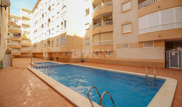 Odsprzedaż - Mieszkanie w bloku - Torrevieja - Costa Blanca