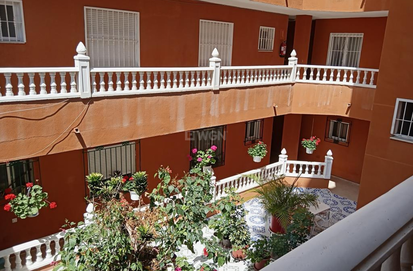 Odsprzedaż - Mieszkanie w bloku - Torrevieja - El Molino