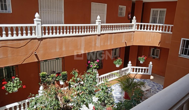 Odsprzedaż - Mieszkanie w bloku - Torrevieja - El Molino