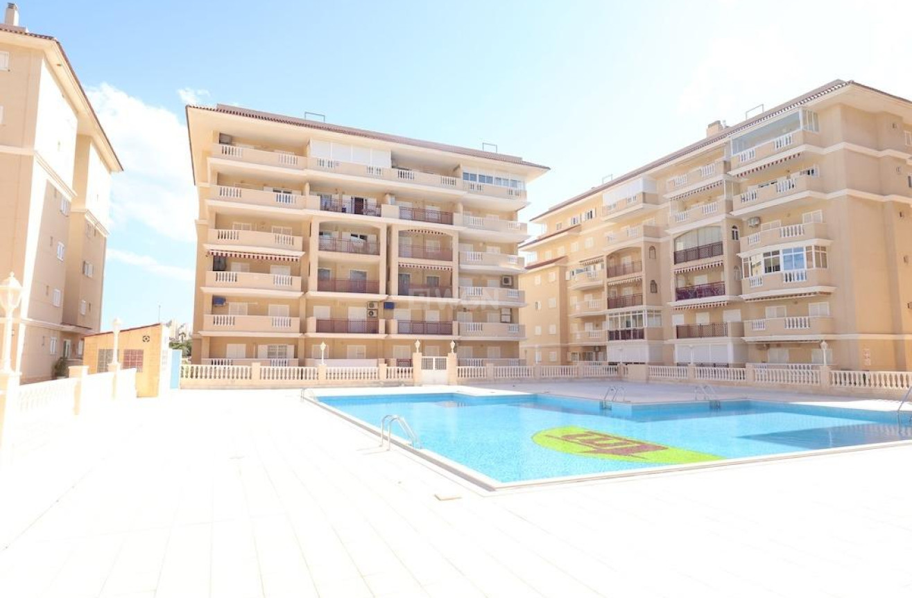 Odsprzedaż - Mieszkanie w bloku - Torrevieja - Costa Blanca