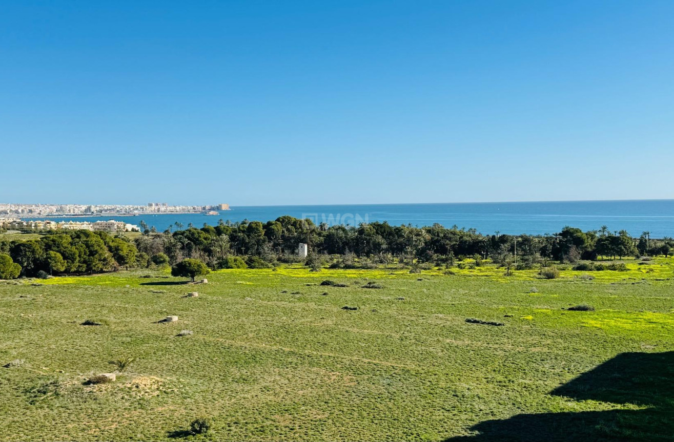 Odsprzedaż - Daszek - Torrevieja - Punta Prima