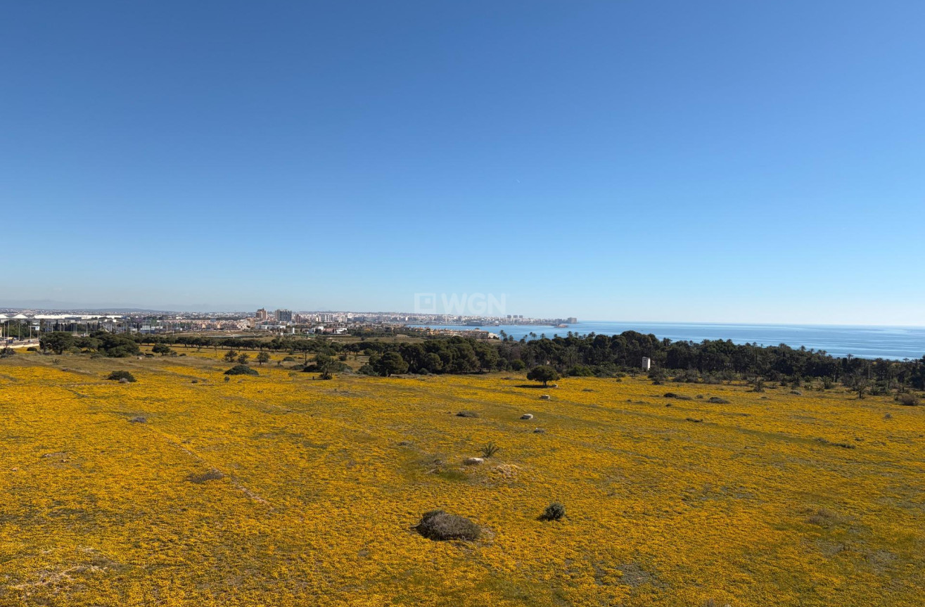 Odsprzedaż - Daszek - Torrevieja - Punta Prima