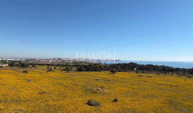 Odsprzedaż - Daszek - Torrevieja - Punta Prima