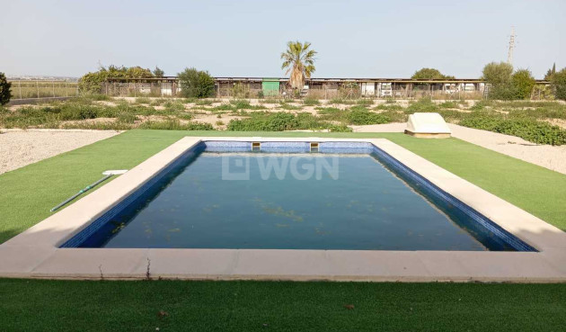 Wiederverkauf - Villa - San Miguel de Salinas - Inland