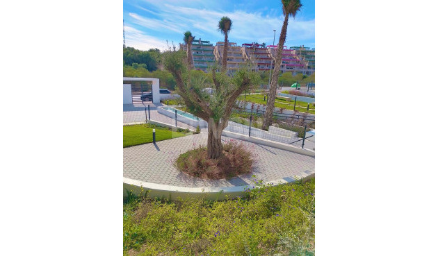 Odsprzedaż - Mieszkanie w bloku - Villamartin - Costa Blanca