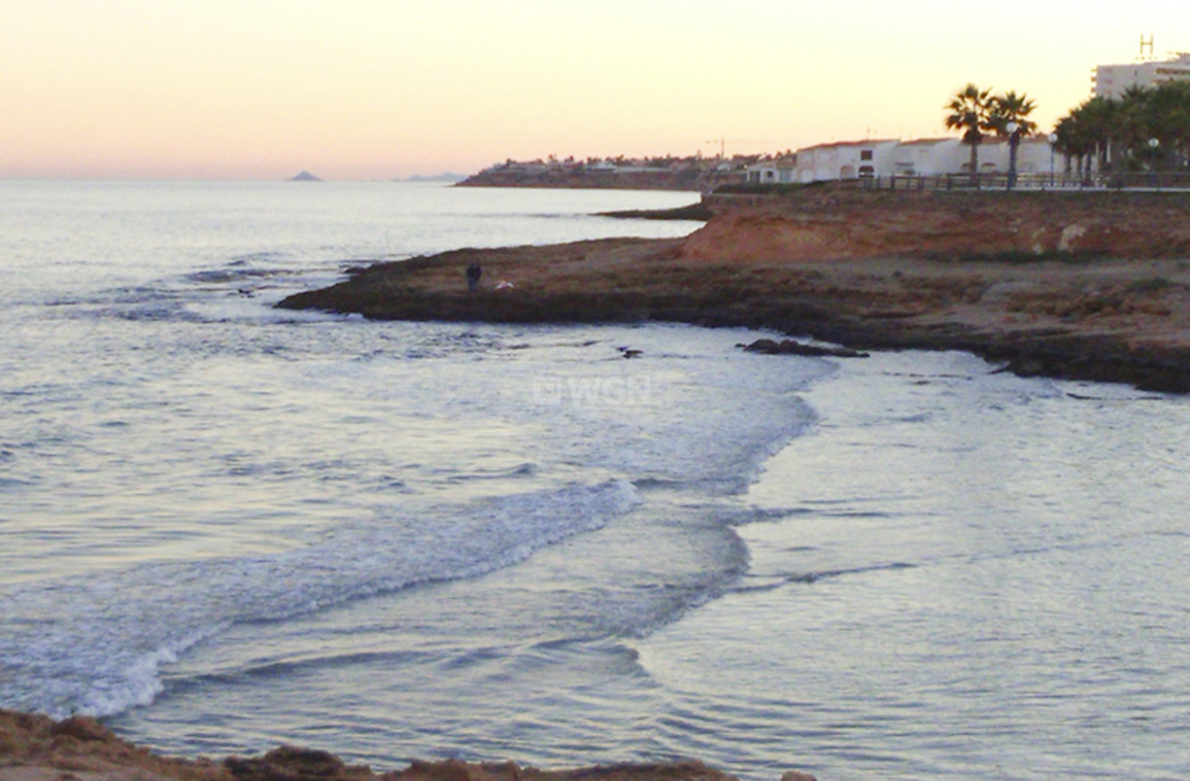 Odsprzedaż - Mieszkanie w bloku - Villamartin - Costa Blanca