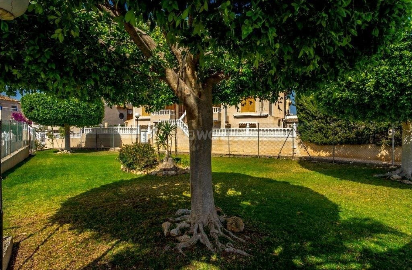 Odsprzedaż - Villa - Torrevieja - Los Altos
