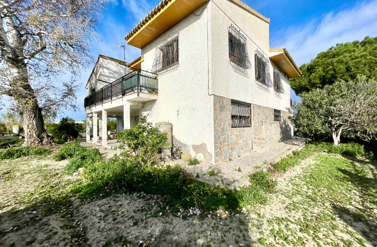 Odsprzedaż - Villa - Benejúzar - Inland