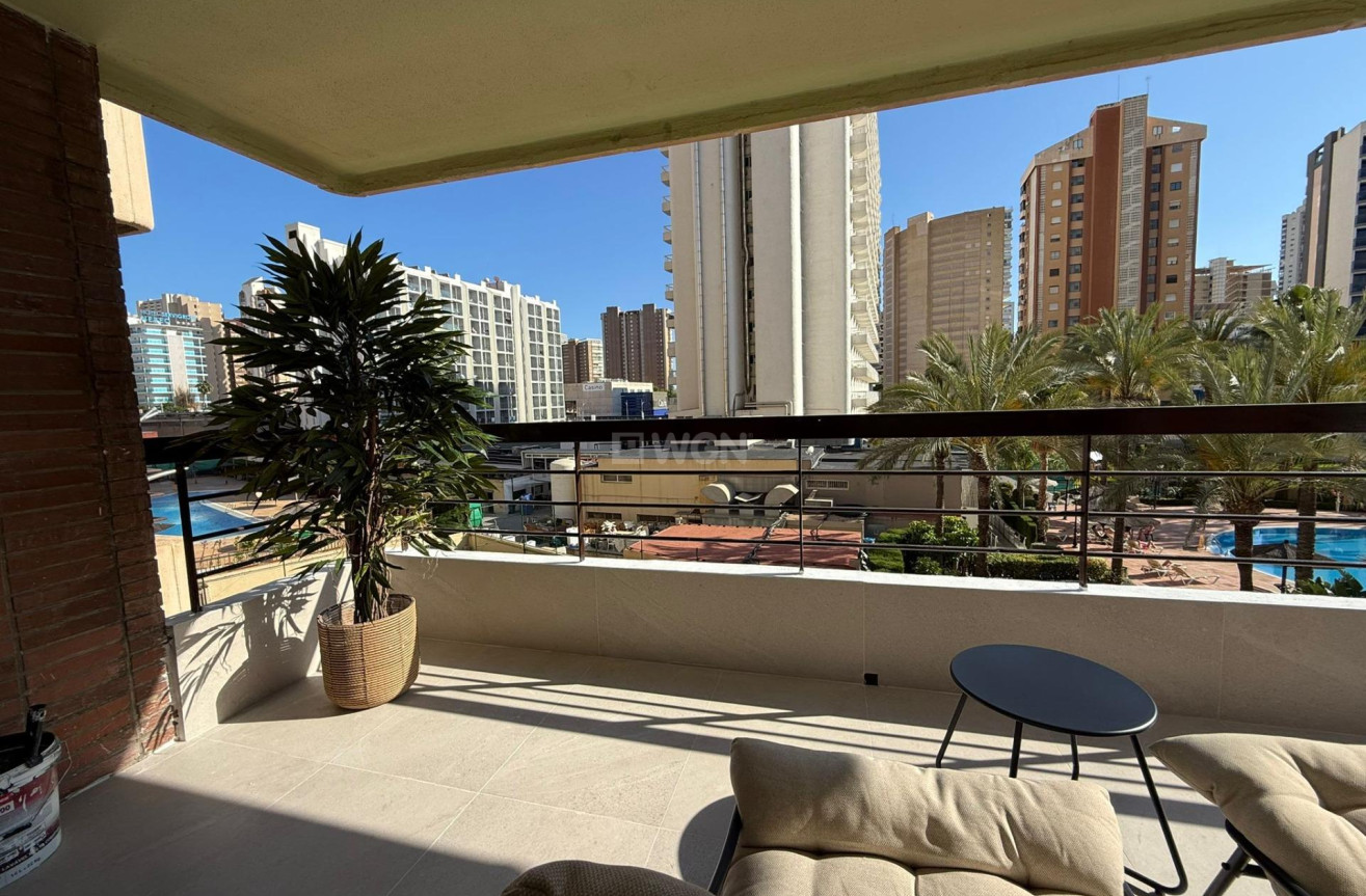 Odsprzedaż - Mieszkanie w bloku - Benidorm - Rincón de Loix