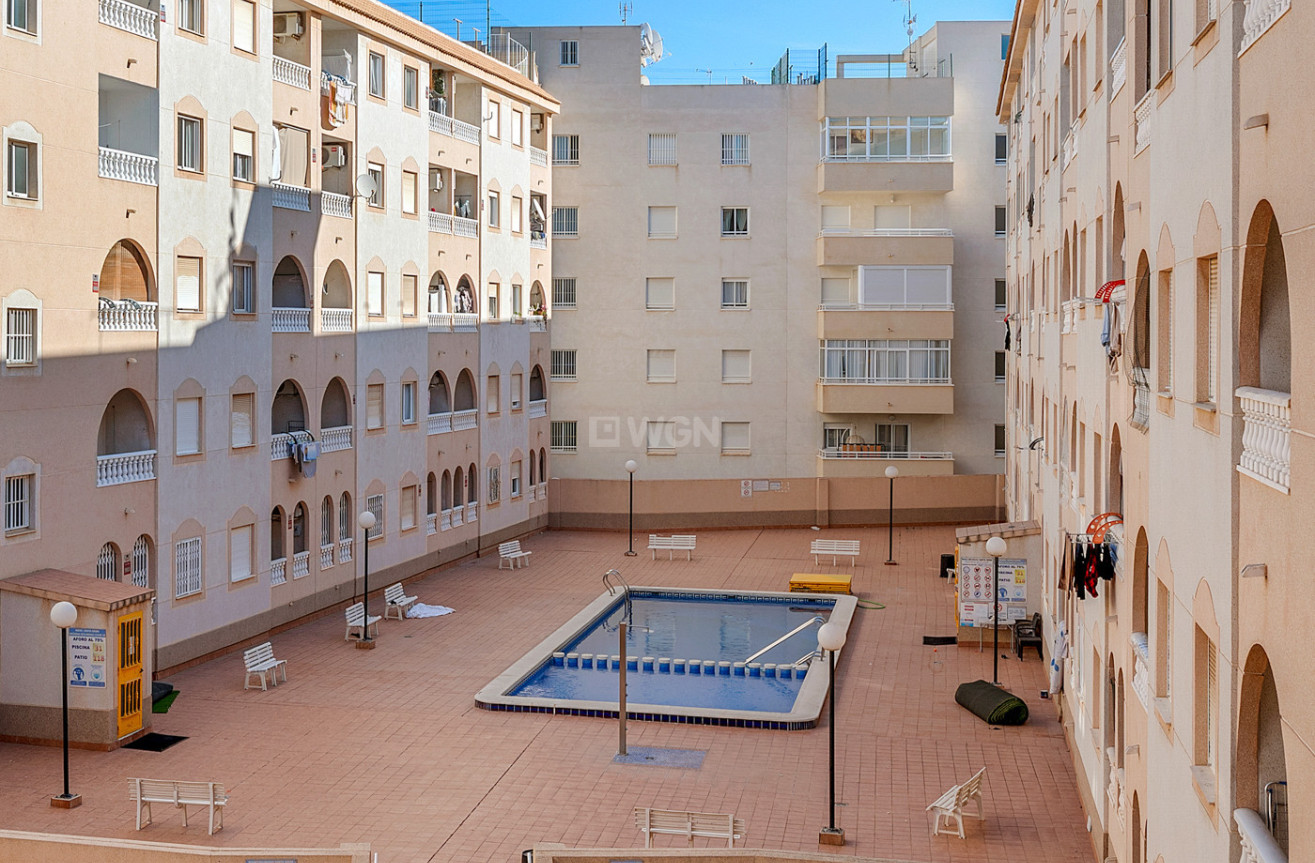 Odsprzedaż - Mieszkanie w bloku - Torrevieja - Costa Blanca
