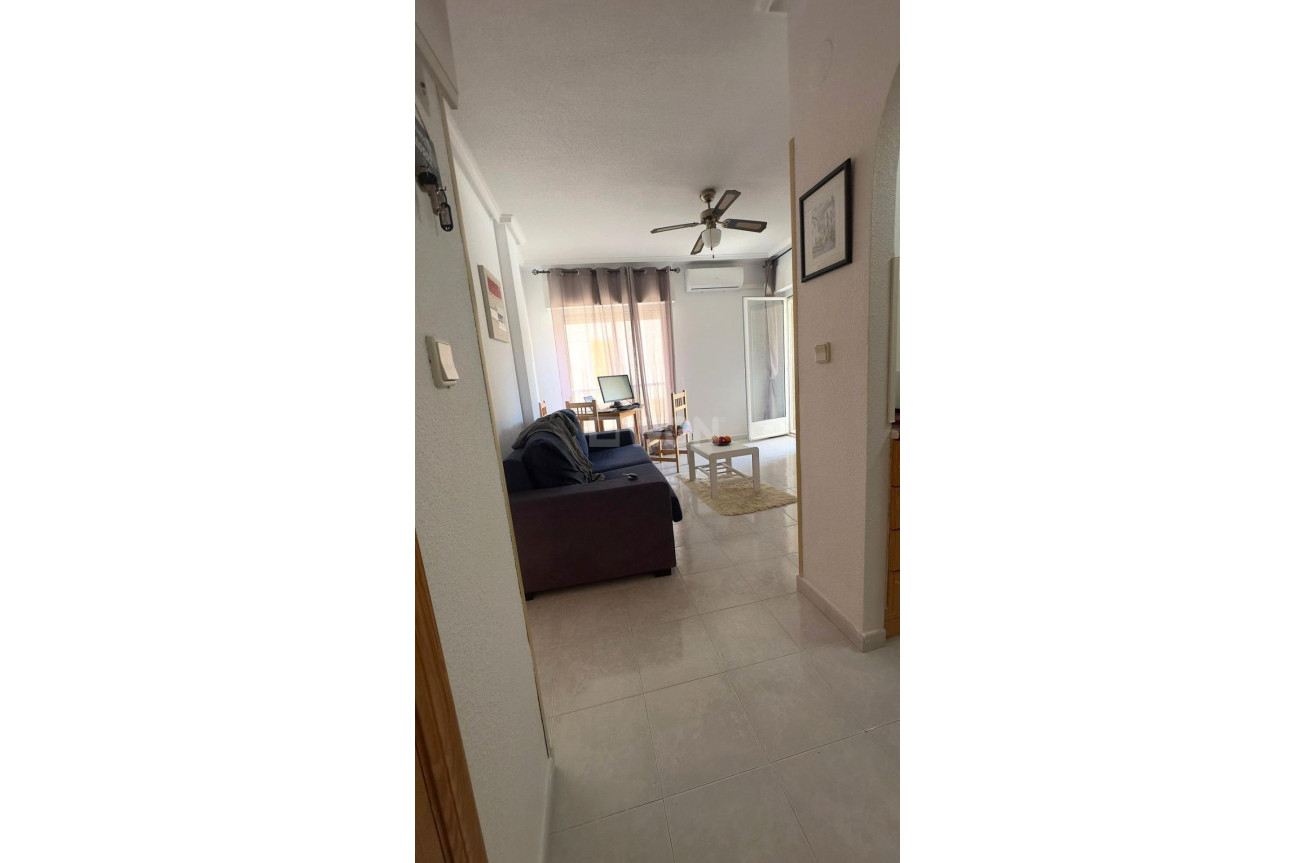 Odsprzedaż - Mieszkanie w bloku - Torrevieja - Acequion