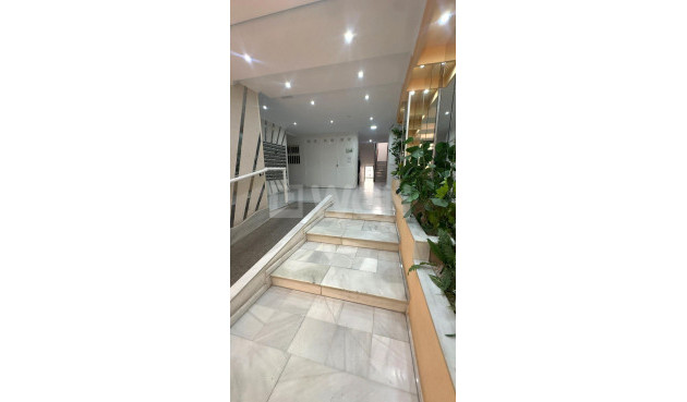 Odsprzedaż - Mieszkanie w bloku - Torrevieja - Acequion