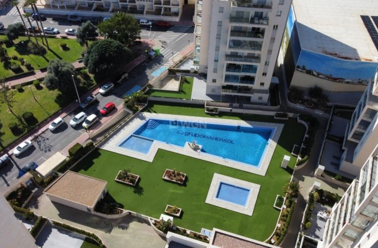 Odsprzedaż - Mieszkanie w bloku - Torrevieja - Costa Blanca