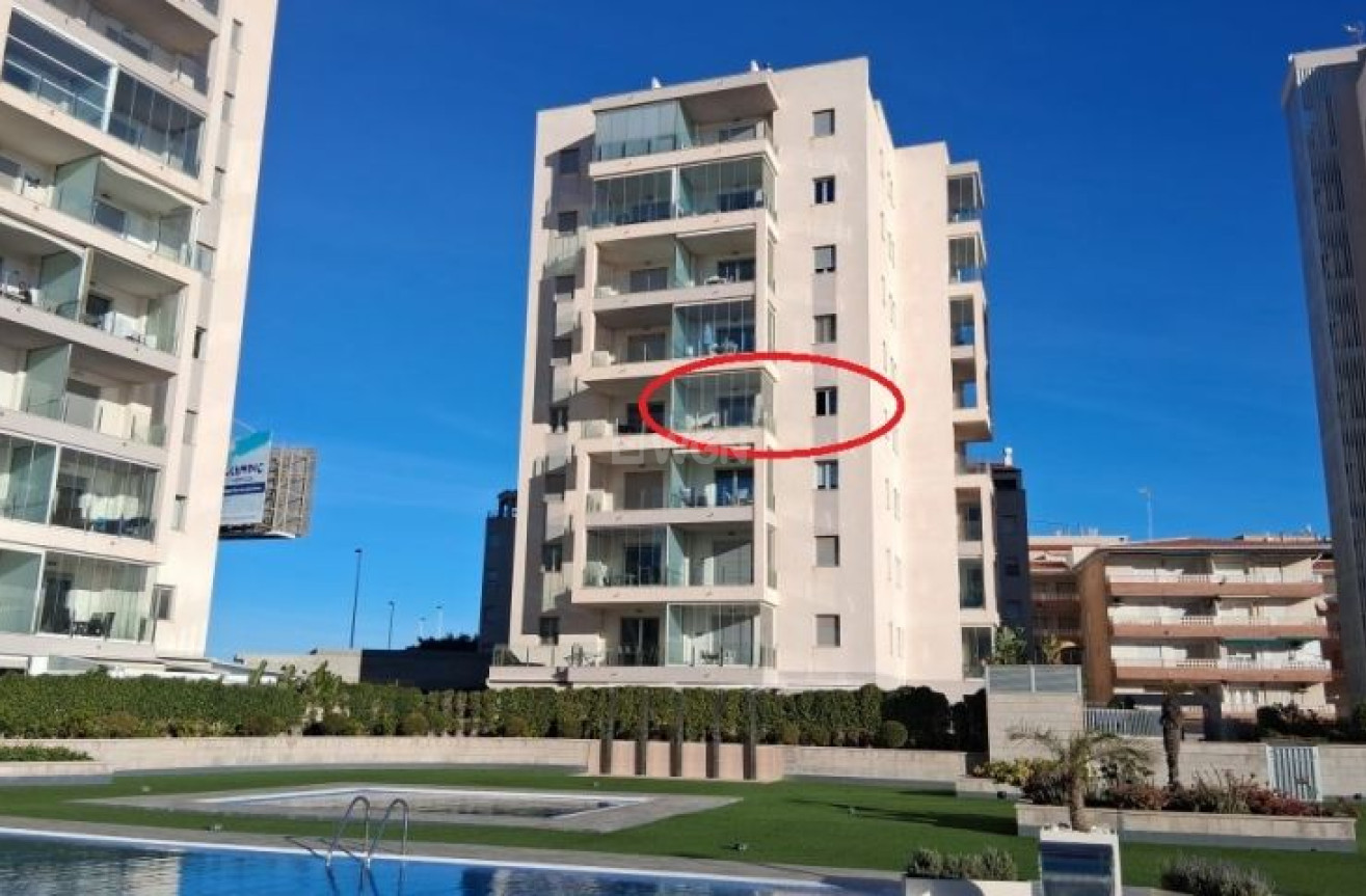 Odsprzedaż - Mieszkanie w bloku - Torrevieja - Costa Blanca