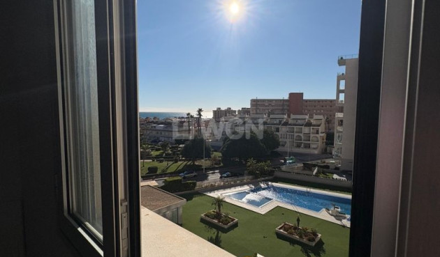 Odsprzedaż - Mieszkanie w bloku - Torrevieja - Costa Blanca