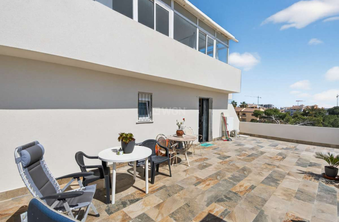 Odsprzedaż - Mieszkanie w bloku - Punta Prima - Costa Blanca