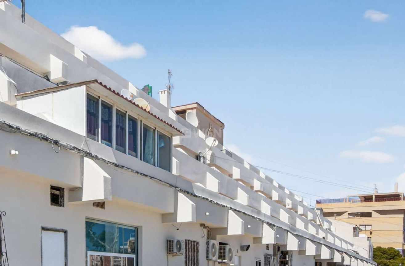 Odsprzedaż - Mieszkanie w bloku - Punta Prima - Costa Blanca