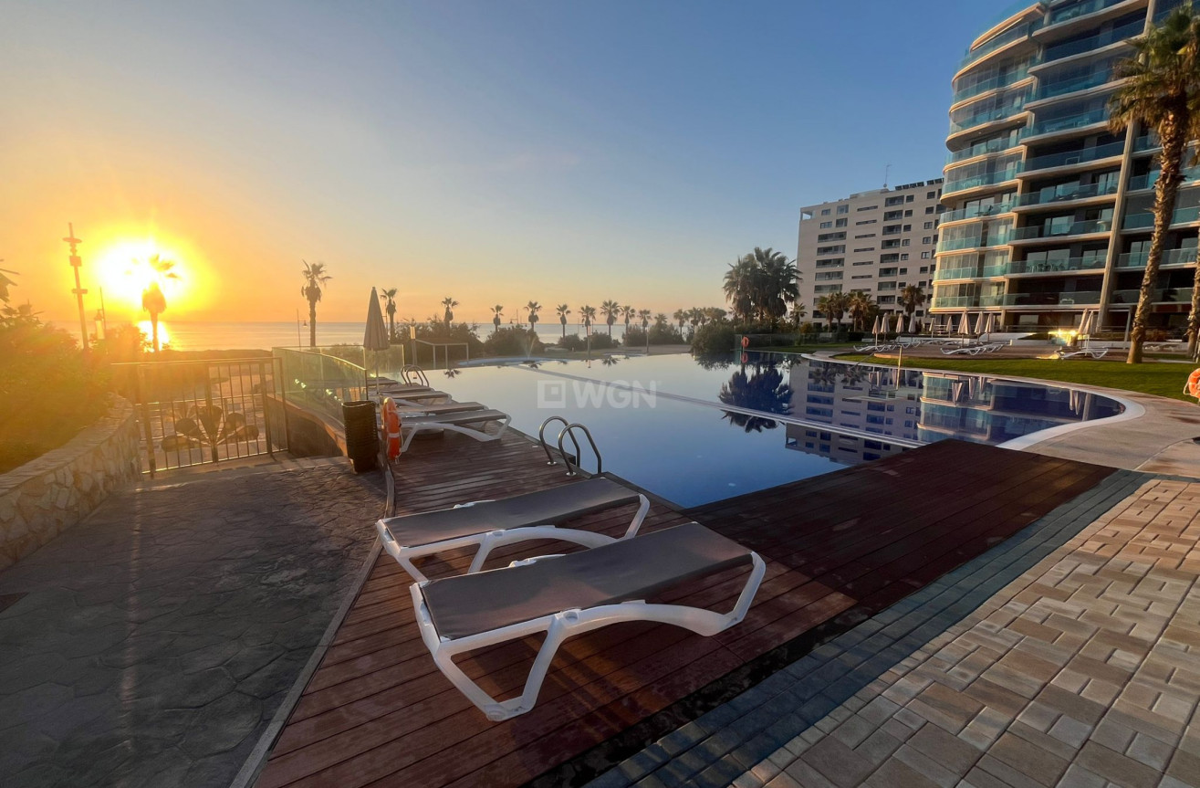 Odsprzedaż - Mieszkanie w bloku - Punta Prima - Costa Blanca