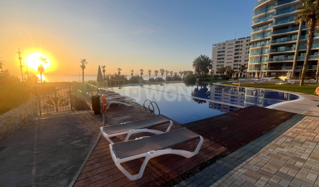 Odsprzedaż - Mieszkanie w bloku - Punta Prima - Costa Blanca