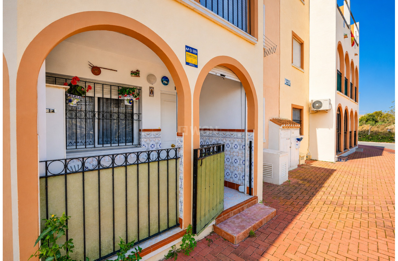 Odsprzedaż - Bungalow - Torrevieja - Costa Blanca
