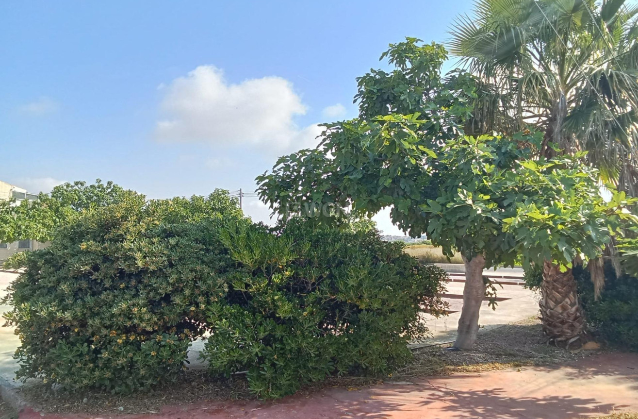 Odsprzedaż - Bungalow - Torrevieja - Torretas