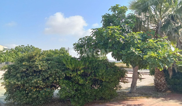Odsprzedaż - Bungalow - Torrevieja - Torretas