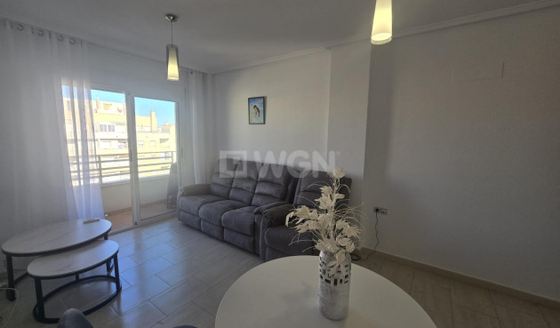 Odsprzedaż - Mieszkanie w bloku - Torrevieja - Centro