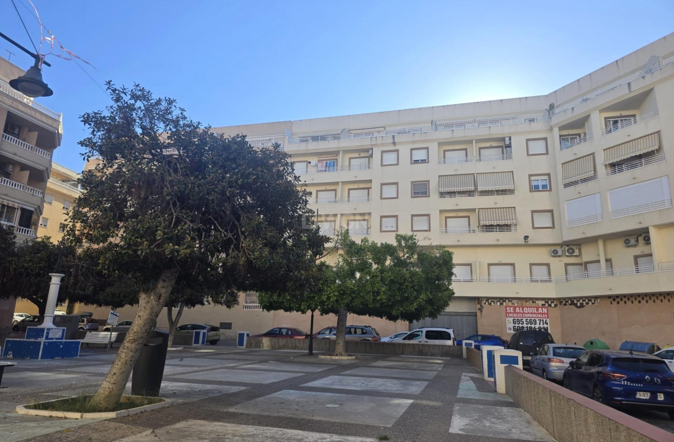 Odsprzedaż - Mieszkanie w bloku - Torrevieja - Centro