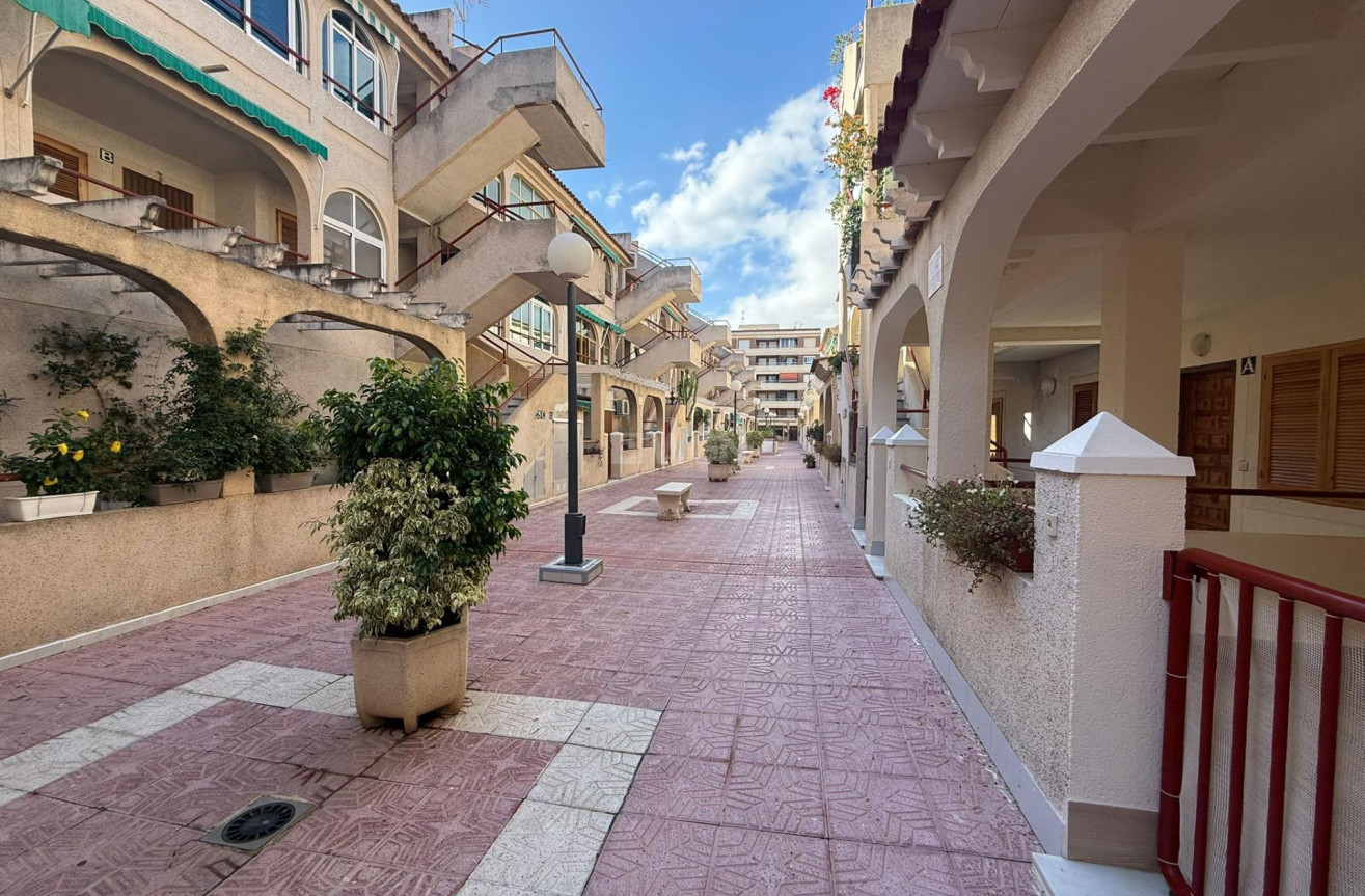 Odsprzedaż - Mieszkanie w bloku - Torrevieja - Acequion