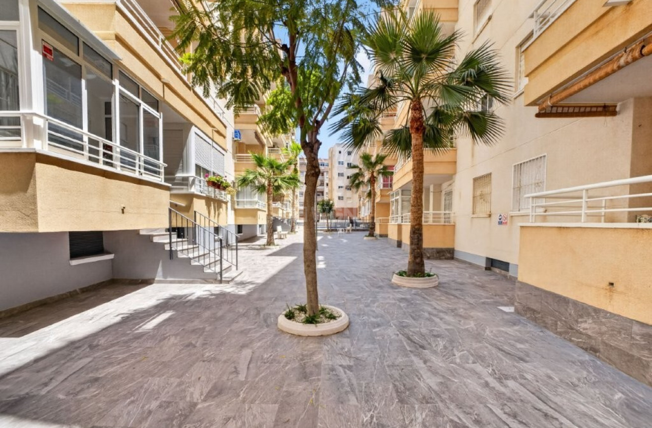 Odsprzedaż - Mieszkanie w bloku - Torrevieja - Costa Blanca
