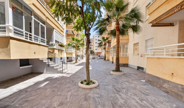 Odsprzedaż - Mieszkanie w bloku - Torrevieja - Costa Blanca
