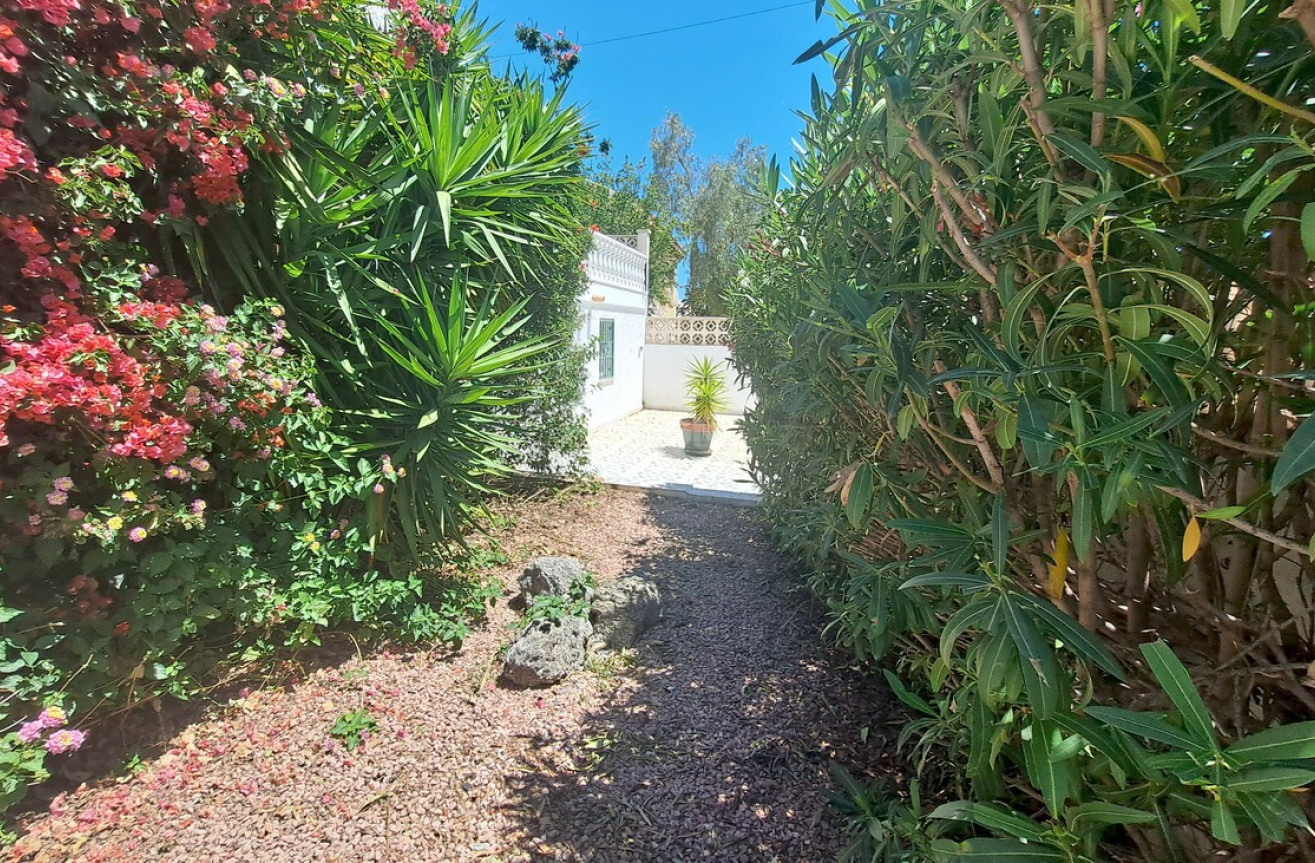 Odsprzedaż - Villa - San Miguel de Salinas - Inland