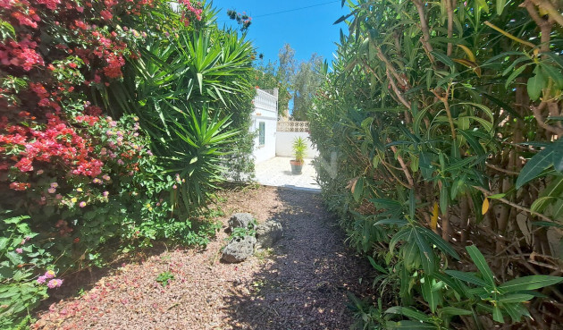 Odsprzedaż - Villa - San Miguel de Salinas - Inland