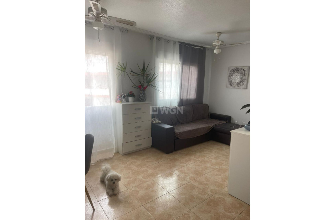 Odsprzedaż - Mieszkanie w bloku - Torrevieja - Playa de los Locos