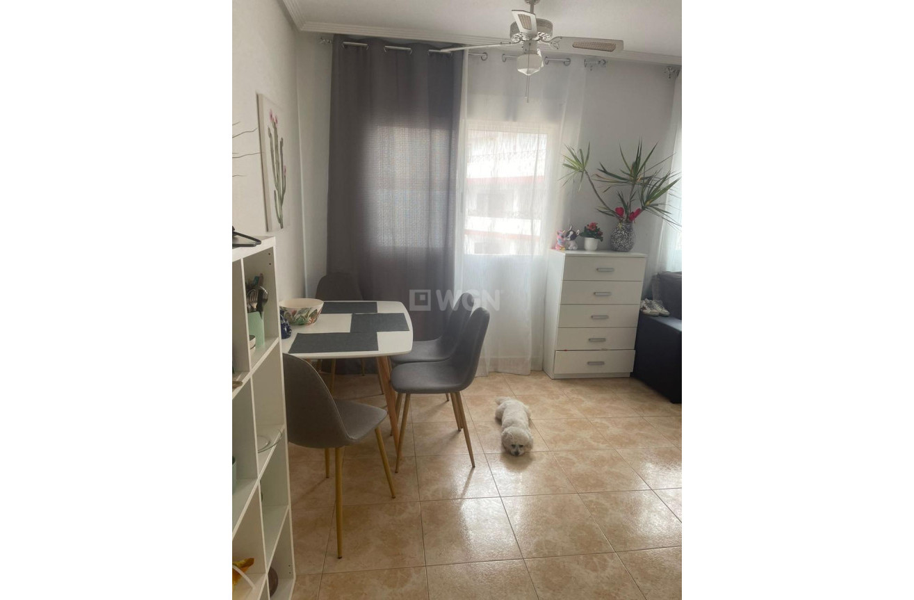 Odsprzedaż - Mieszkanie w bloku - Torrevieja - Playa de los Locos