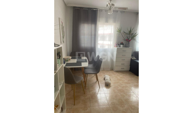 Odsprzedaż - Mieszkanie w bloku - Torrevieja - Playa de los Locos