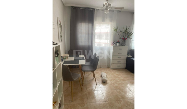 Odsprzedaż - Mieszkanie w bloku - Torrevieja - Playa de los Locos
