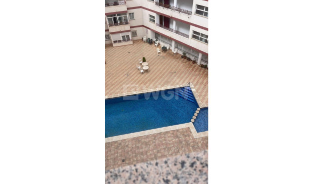 Odsprzedaż - Mieszkanie w bloku - Torrevieja - Playa de los Locos