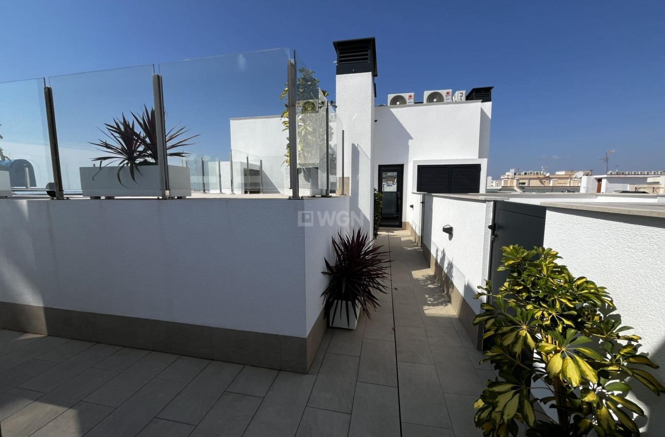 Odsprzedaż - Mieszkanie w bloku - Torrevieja - Playa del Cura